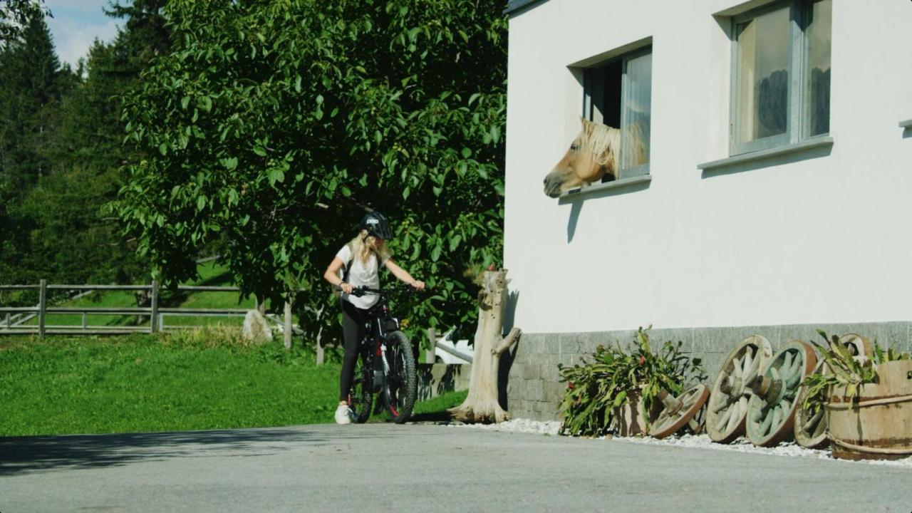 Apartment Wiesenhof - Natur & Weitblick Ueber Innsbruck - Ladestation Fuer Elektroautos Εξωτερικό φωτογραφία